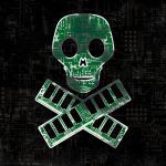 hacker pirate logo